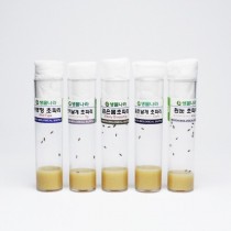 돌연변이관찰세트