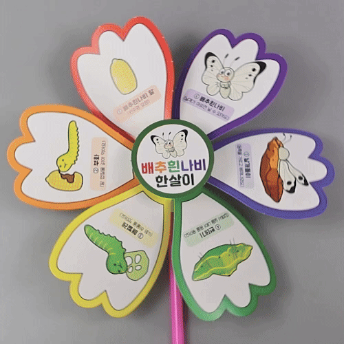 배추흰나비 한살이 컬러링 바람개비(손쉬운 제작)