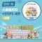 카미봇 파이 AI 스쿨패키지 10명 + STEP3 세트