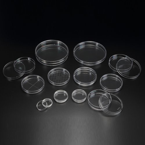 Petri Dish(SPL) 옵션 선택