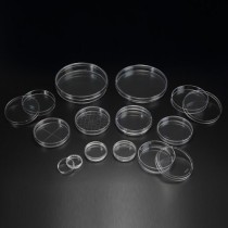 Petri Dish(SPL) 옵션 선택