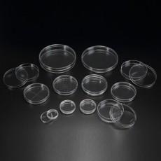 Petri Dish(SPL) 옵션 선택