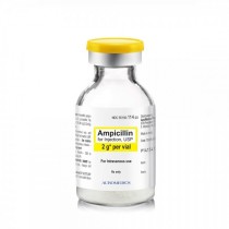 항생제 Antibiotics Solution (앰피실린 페니실린 카나마이신) 생물실험용
