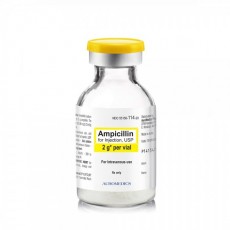 항생제 Antibiotics Solution (앰피실린 페니실린 카나마이신) 생물실험용