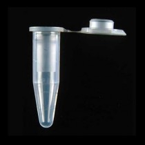 [Axygen] 1.5ml, 1.7ml, 2.0ml Microtubes // 마이크로튜브