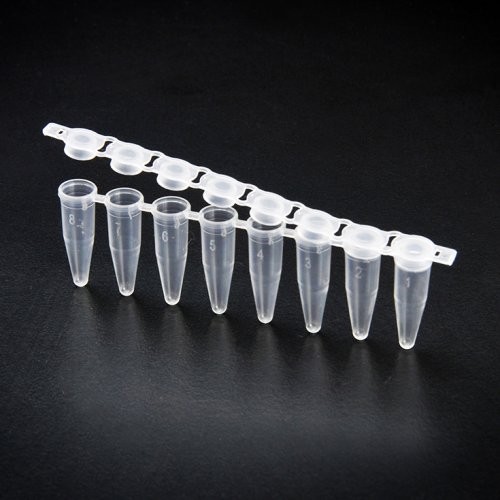 PCR Tube(SPL) 피씨알튜브 60008
