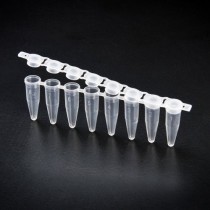 PCR Tube(SPL) 피씨알튜브 60008