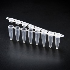 PCR Tube(SPL) 피씨알튜브 60008