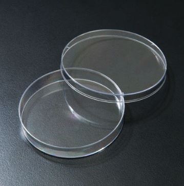 SPL 플라스틱샤레 일회용샤레 페트리디쉬 페트리접시