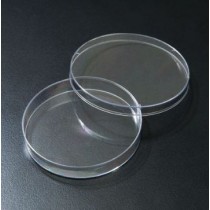 SPL 플라스틱샤레 일회용샤레 페트리디쉬 페트리접시