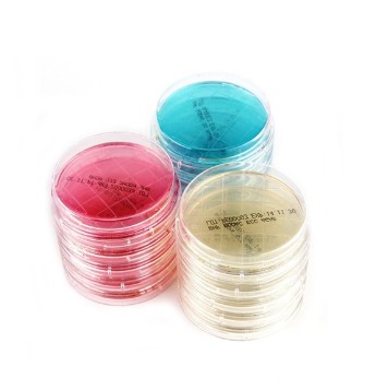 세균배양배지(황색포도상구균) 생물나라 (수량옵션선택)