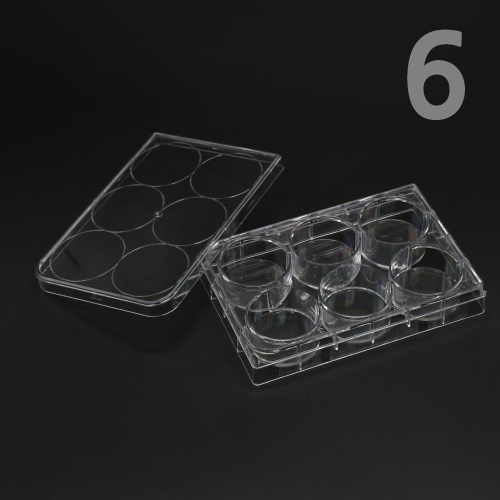 홈판 / 6홈판 / 6홀