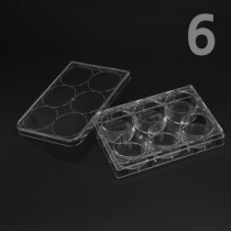 홈판 / 6홈판 / 6홀