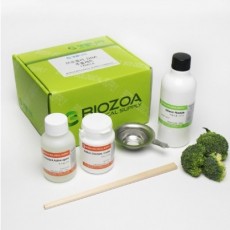 브로콜리 DNA추출세트