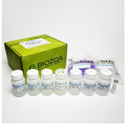 플라스미드 추출세트 Plasmid DNA Extract Kit