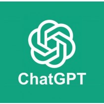에듀테크 Chat GPT PLUS 12개월 1유저