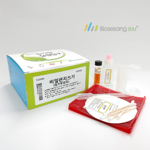 비밀편지쓰기 (5인 KIT)