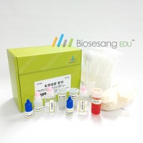 토양 성분 분석 (5인KIT)