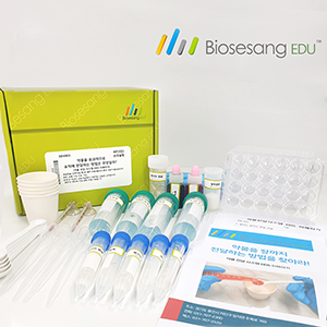 약물을 장까지 전달하는 방법을 찾아라 (5인KIT)