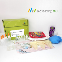 질병진단 & 약사 직업 체험(4인KIT)