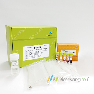 전기영동용 Agarose gel& DNA sample(5인용)
