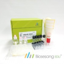 수질오염 측정 1 (5인KIT)