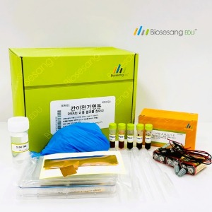 간이전기영동-DNA의 이동 원리를 찾아라 (5인KIT)