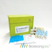 모의 혈액형 판별하기 (5인KIT)