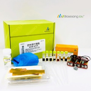 간이전기영동-범인을 찾아라! (5인KIT)