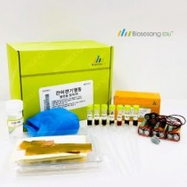 간이전기영동-범인을 찾아라! (5인KIT)