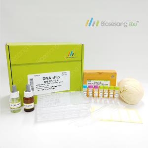 DNA chip 질병 진단 검사 (5인KIT)
