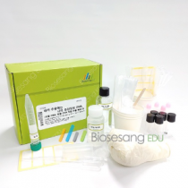 내가 추출하는 나의 유전정보 DNA (식물DNA, 동물DNA 직접 추출 해보기)