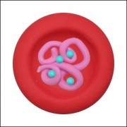 뉴 오물조물비누 적혈구의 산소운반모형(10세트)