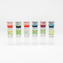 전기영동 염색샘플 ( 원리실험용 )