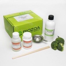 브로콜리 DNA추출세트 BIOZOA