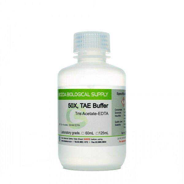TAE buffer BIOZOA  50X - 125mL
