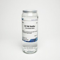 TAE buffer BIOZOA 1X - 450mL