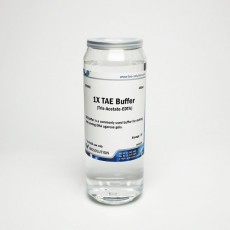 TAE buffer BIOZOA 1X - 450mL