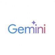 구글 제미나이 Google Gemini (프로) 제미니