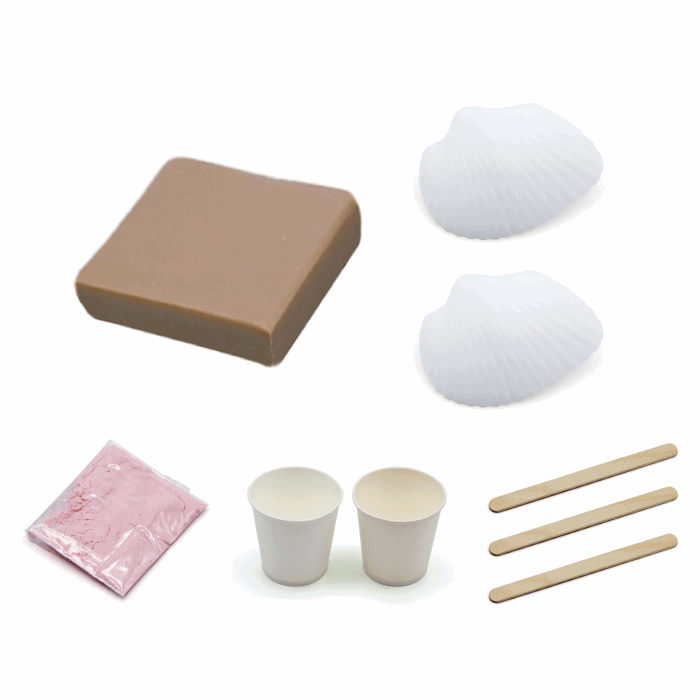 [만지락유토]를 이용한 백색조개 화석모형 만들기 (2인용) / 26년