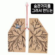 (미래N)호흡기관의구조와기능탐구하기(4명1세트)